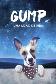 Gump - Uma Lição de Vida