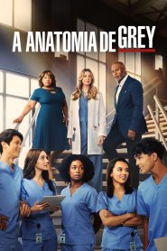 A Anatomia de Grey