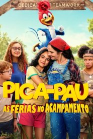 Pica-Pau: As Férias no Acampamento